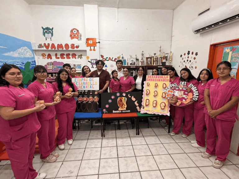 Estudiantes de Psicopedagogía elaboran modelos del desarrollo prenatal para fortalecer su aprendizaje